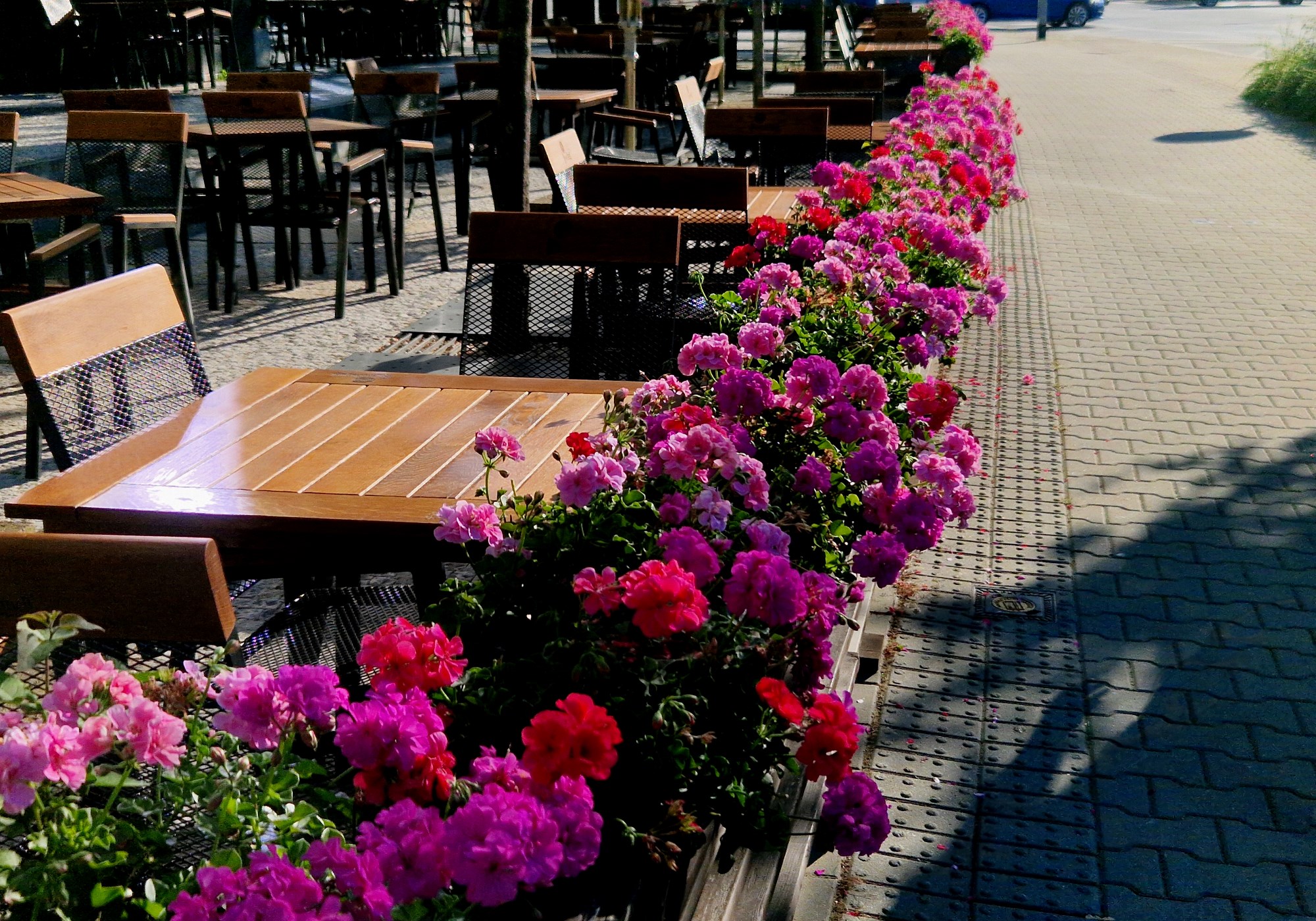 Garden-restaurant-in-the-park-