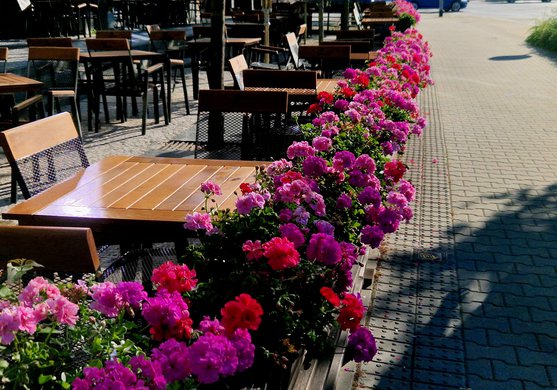 Garden-restaurant-in-the-park