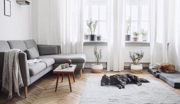 Design interior of living room with small design table and sofa